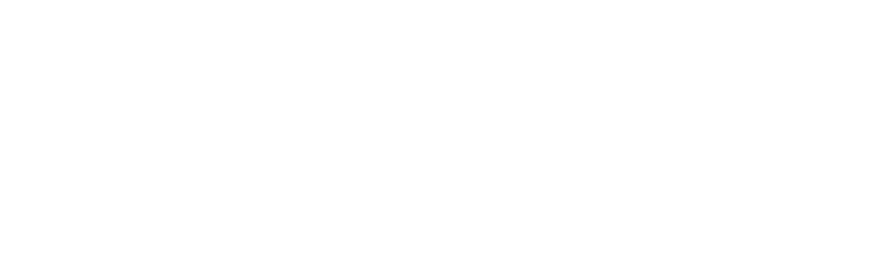 Pulse Radio Network